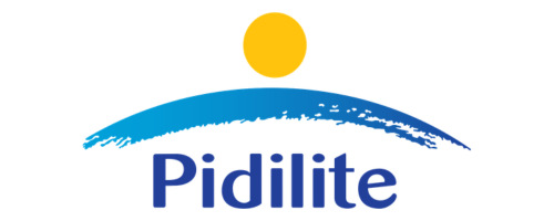 Pidilite Bags2Crown bulk bag client