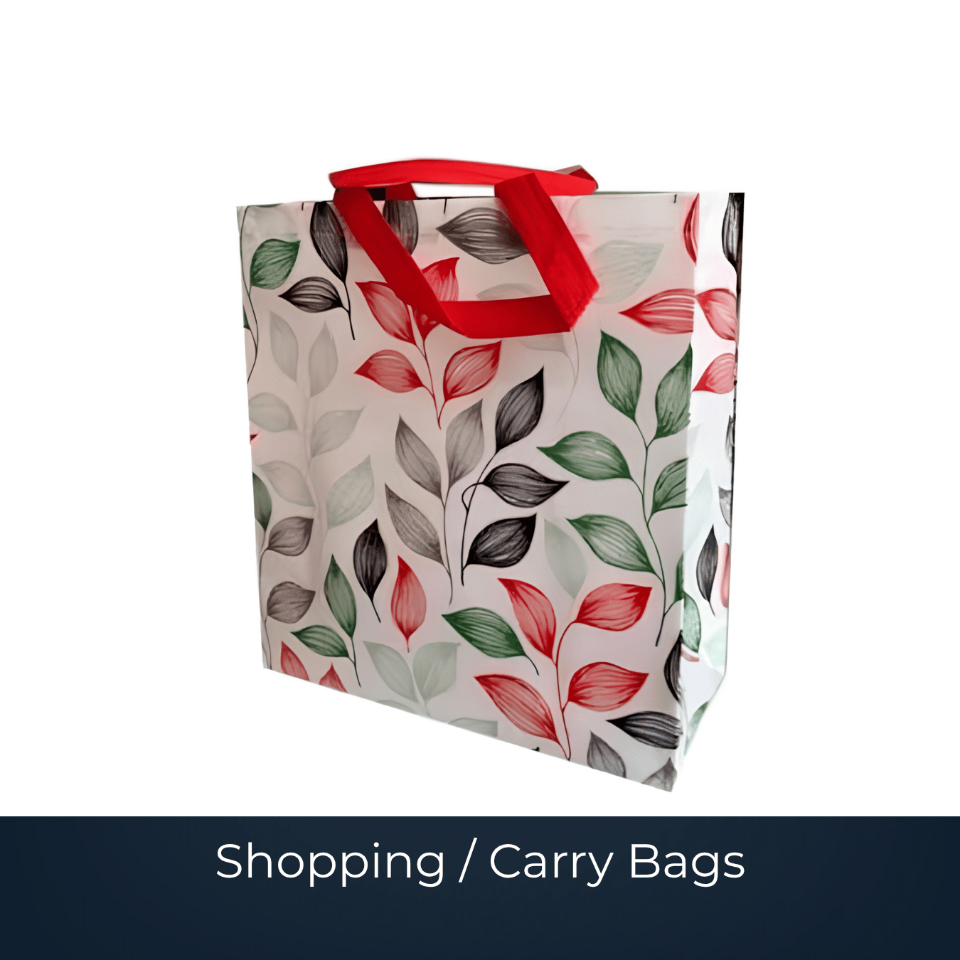 Bulk custom shopping and carry bag by Bags2Crown Mumbai